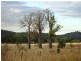 Westwood QLD 4702
