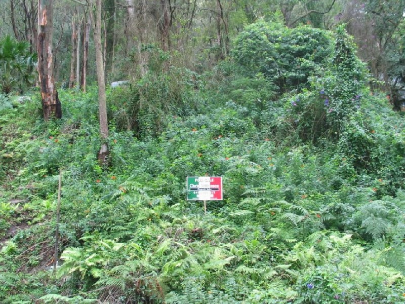 Wisemans Ferry Road, Spencer NSW 2775