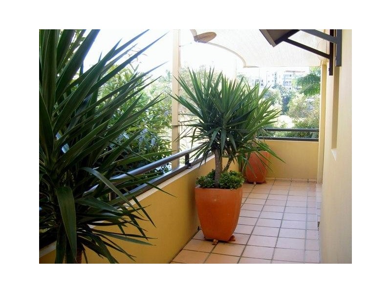 Coolangatta QLD 4225