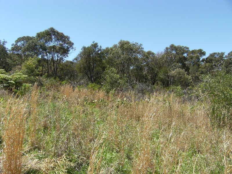 Mount White NSW 2250