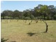 Somersby NSW 2250
