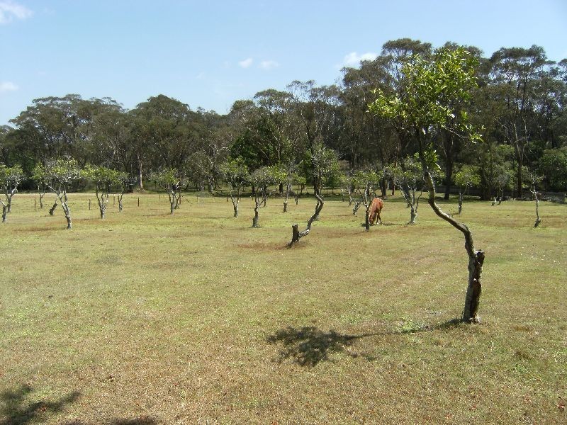 Somersby NSW 2250