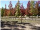 Mount Wilson NSW 2786