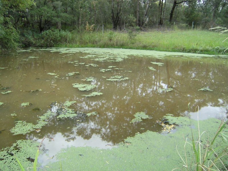 198 Debenham Road, Somersby NSW 2250