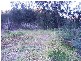 Spencer NSW 2775
