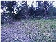 Spencer NSW 2775
