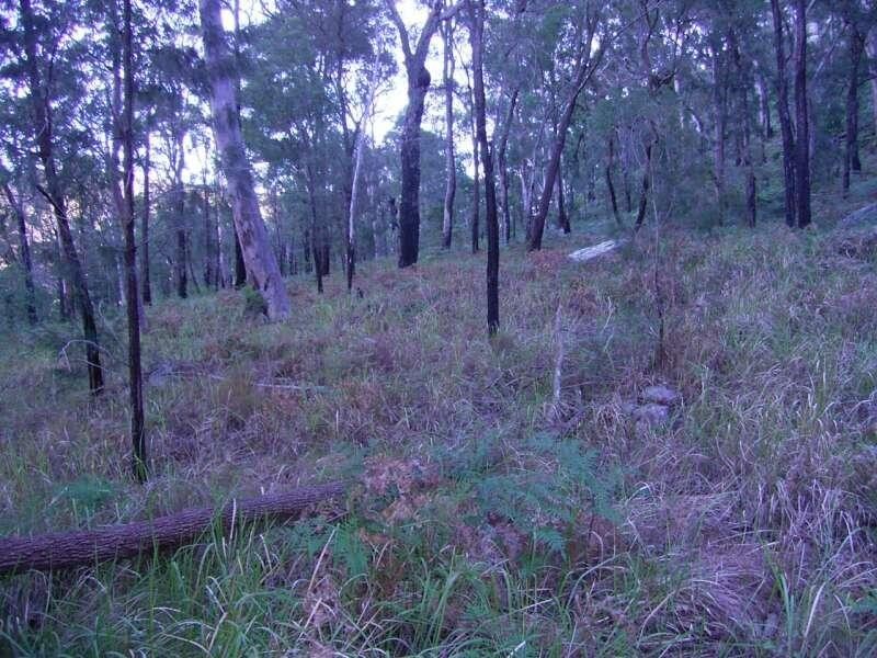 Spencer NSW 2775