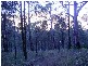 Spencer NSW 2775