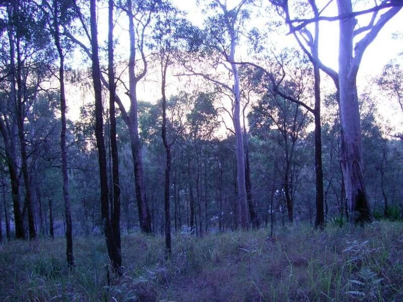 Spencer NSW 2775