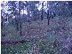 Spencer NSW 2775