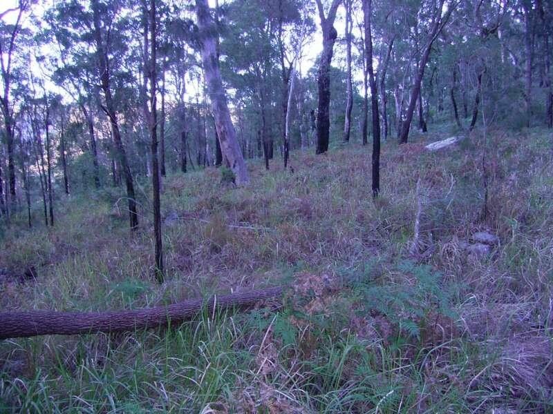 Spencer NSW 2775
