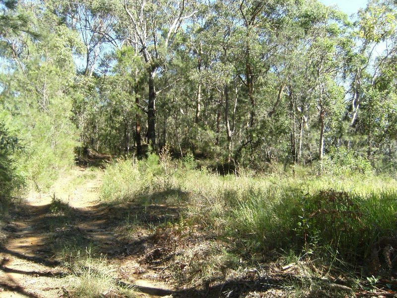 Mount White NSW 2250