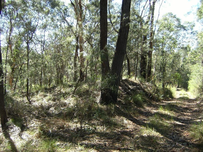 Mount White NSW 2250