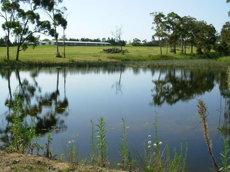Mangrove Mountain NSW 2250