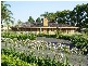 Mangrove Mountain NSW 2250