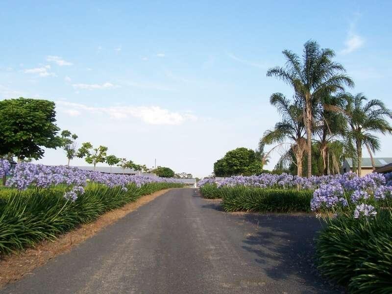 Mangrove Mountain NSW 2250