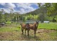 Narara NSW 2250