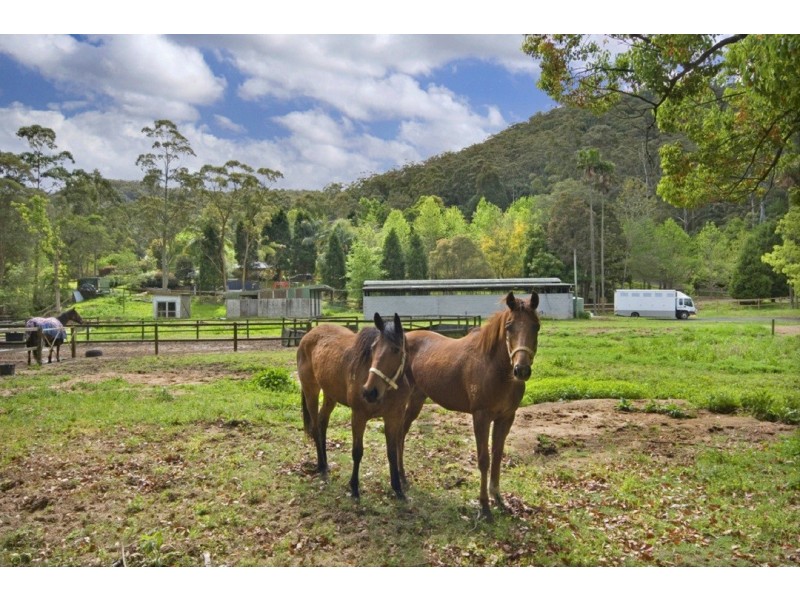 Narara NSW 2250