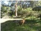 Mooney Mooney Creek NSW 2250