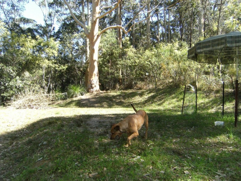 Mooney Mooney Creek NSW 2250