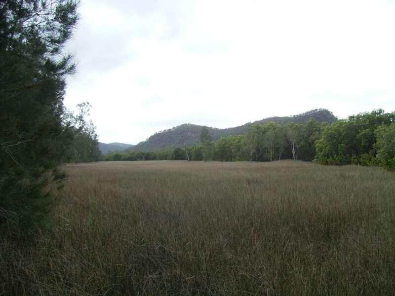 Spencer NSW 2775