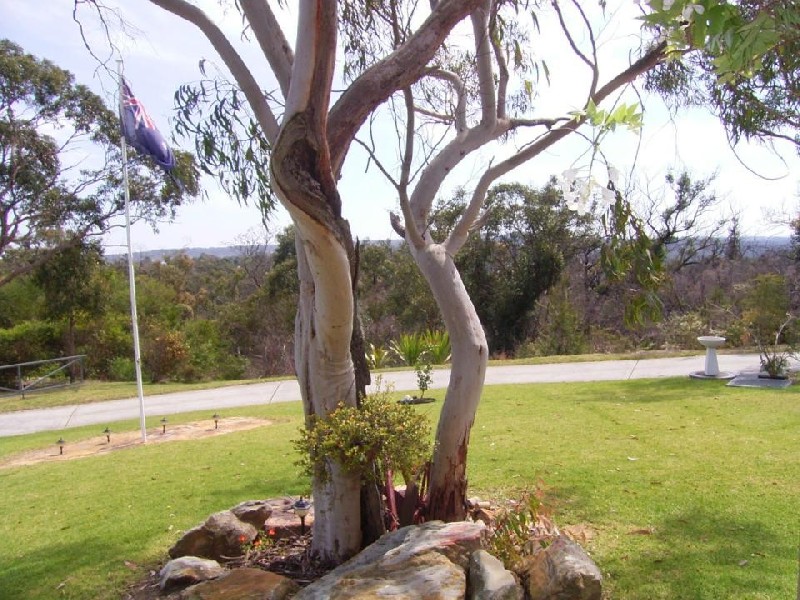 4 Mowbray Place, Kariong NSW 2250