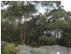 Horsfield Bay NSW 2256