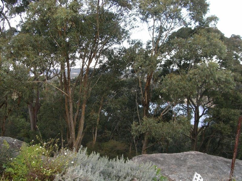 Horsfield Bay NSW 2256