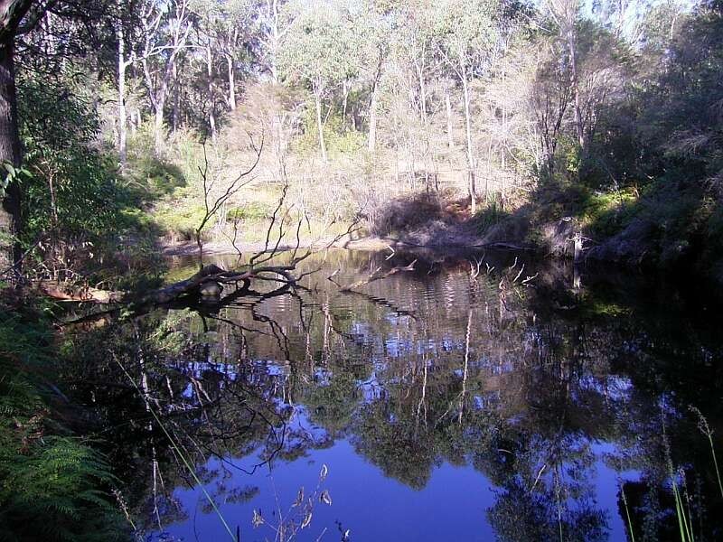 441 Wisemans Ferry Road, Somersby NSW 2250