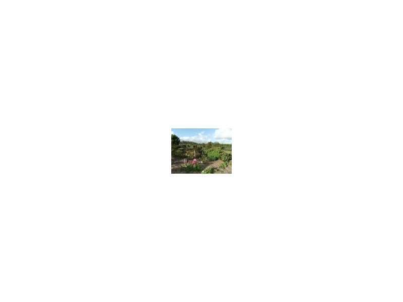 Somersby NSW 2250