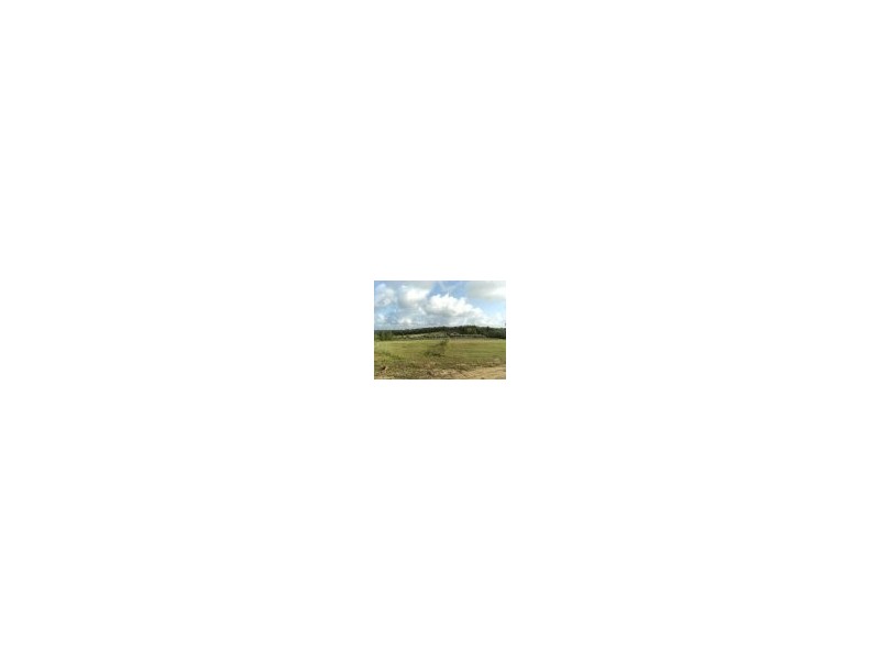 Somersby NSW 2250