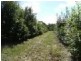Somersby NSW 2250