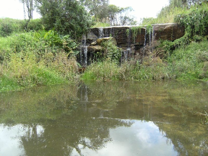Somersby NSW 2250