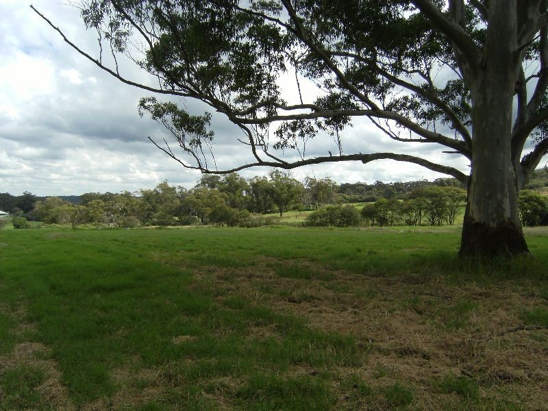 Somersby NSW 2250