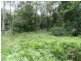 Mangrove Creek NSW 2250