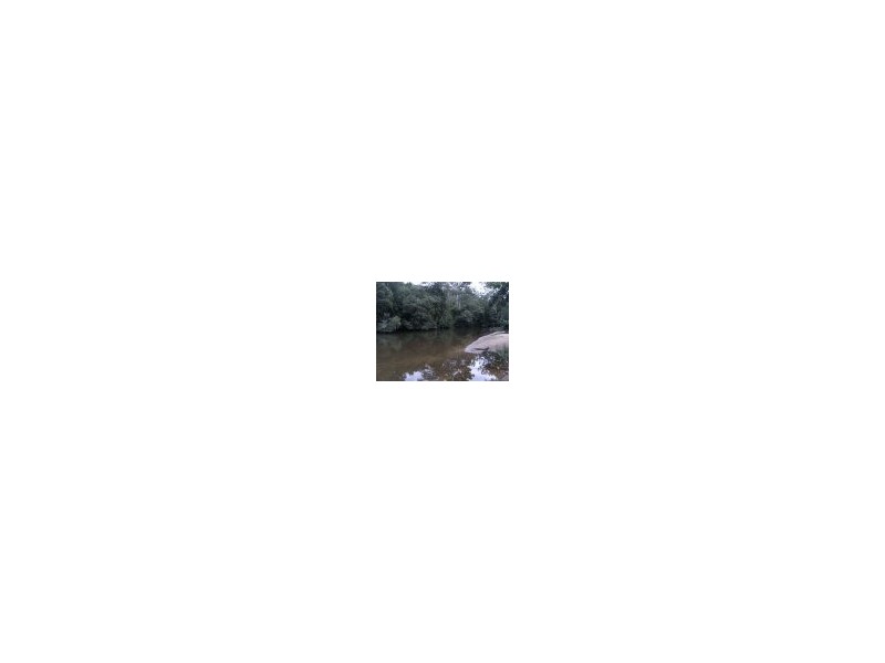 Mangrove Creek NSW 2250