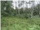 Mangrove Creek NSW 2250