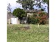 17 ALexander Crescent, Macquarie Fields NSW 2564