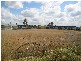 Minto NSW 2566