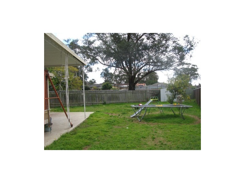 Macquarie Fields NSW 2564