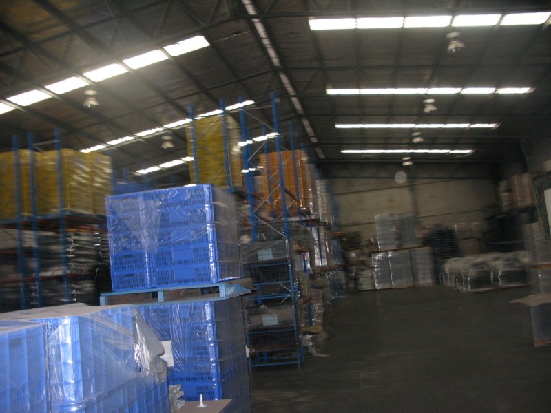 7 pembury, Minto NSW 2566