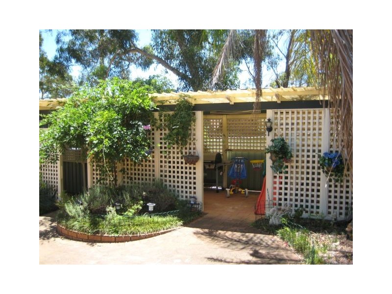 Macquarie Fields NSW 2564