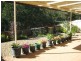 Ingleburn NSW 2565