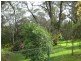 Ingleburn NSW 2565