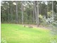 Long Beach NSW 2536