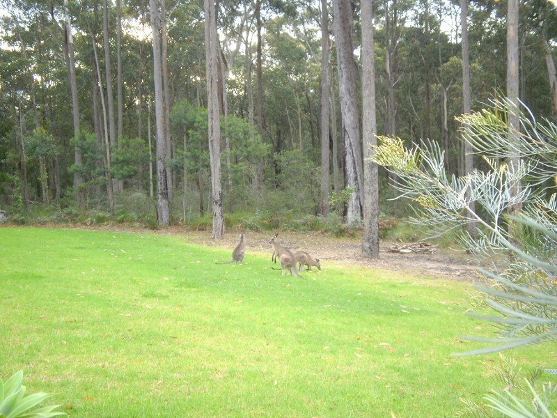 Long Beach NSW 2536