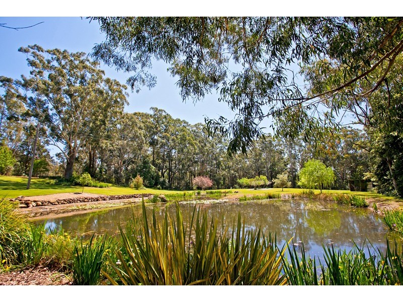 513 Yellow Rock Road, Yellow Rock NSW 2527