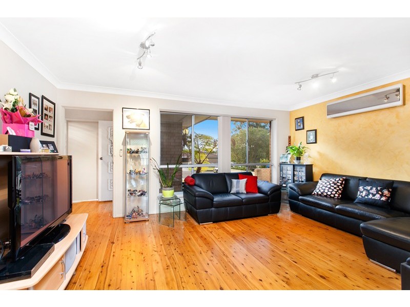 17 Kauri Street, Albion Park Rail NSW 2527