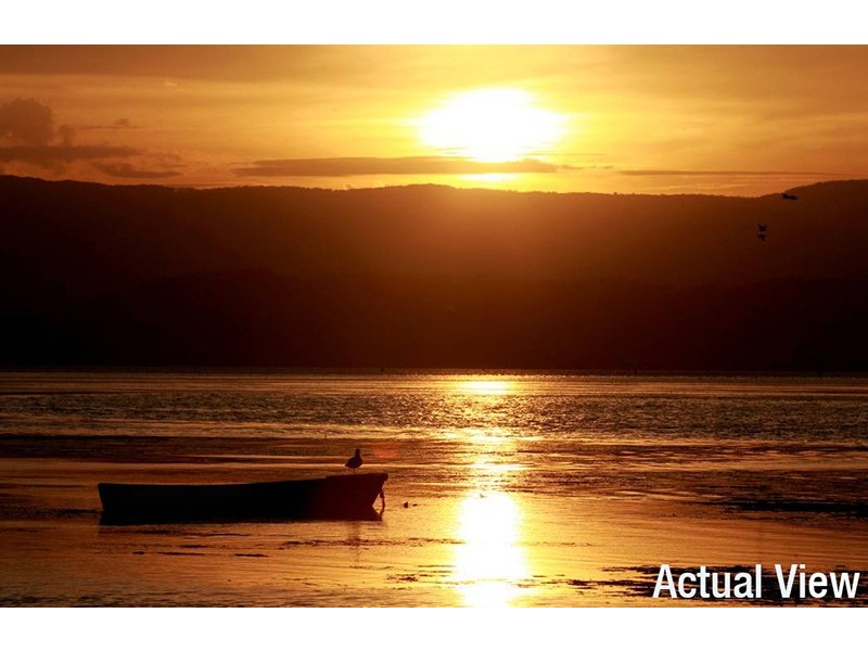 321 Reddall Parade, Mount Warrigal NSW 2528