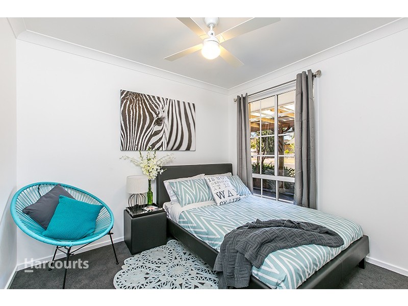 17 Paperbark Street, Albion Park Rail NSW 2527